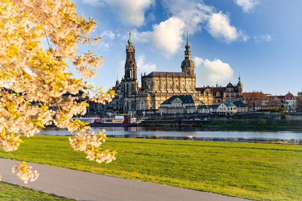 Wandbild Dresden - Die Kathedrale im Frühjahr (Motiv DMDD45)