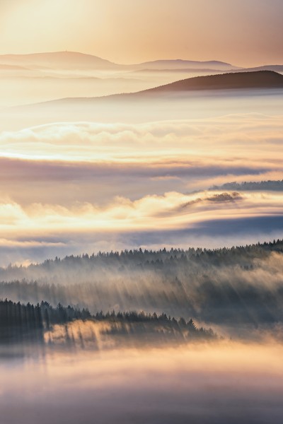 Wandbild Zittauer Gebirge - Endloser Wald umschlungen von Nebel (Motiv LV29)