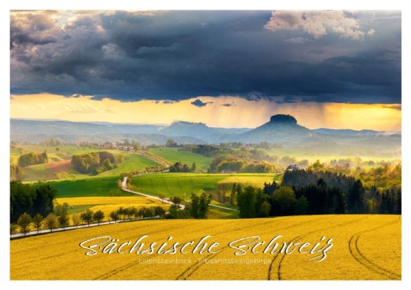 Postkarte Sächsische Schweiz - Lilienstein mit Rapsfeld (Motiv PO_SSW_8)
